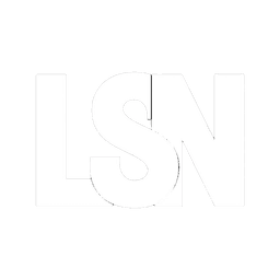 LSN Holdings